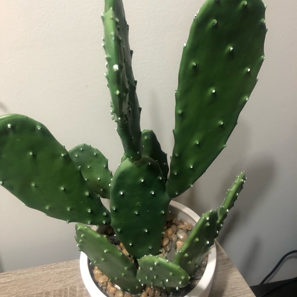 SOLD - Picture 3 of 6